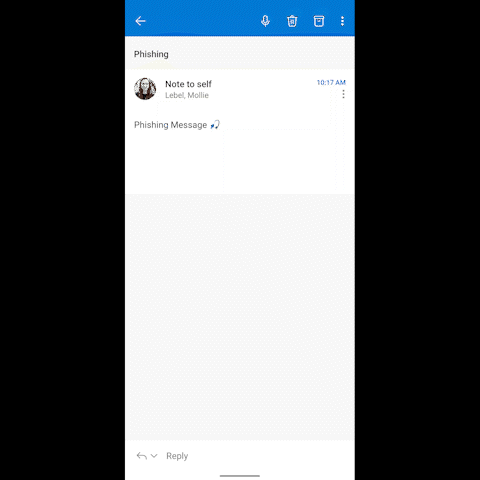 Outlook 3.gif