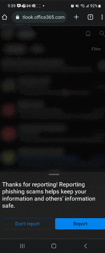 report4.gif